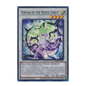 Poplar of the White Forest (SR) ALIN-EN041