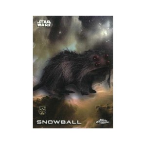 Snowball #170