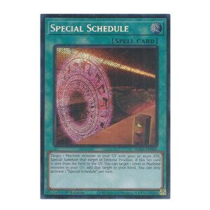 Special Schedule (Secret Rare) - RA05-EN060