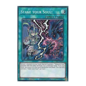 Stake your Soul! (Super Rare) - RA05-EN069