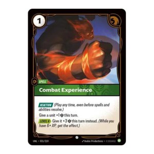 Combat Experience - 031/219 - Foil